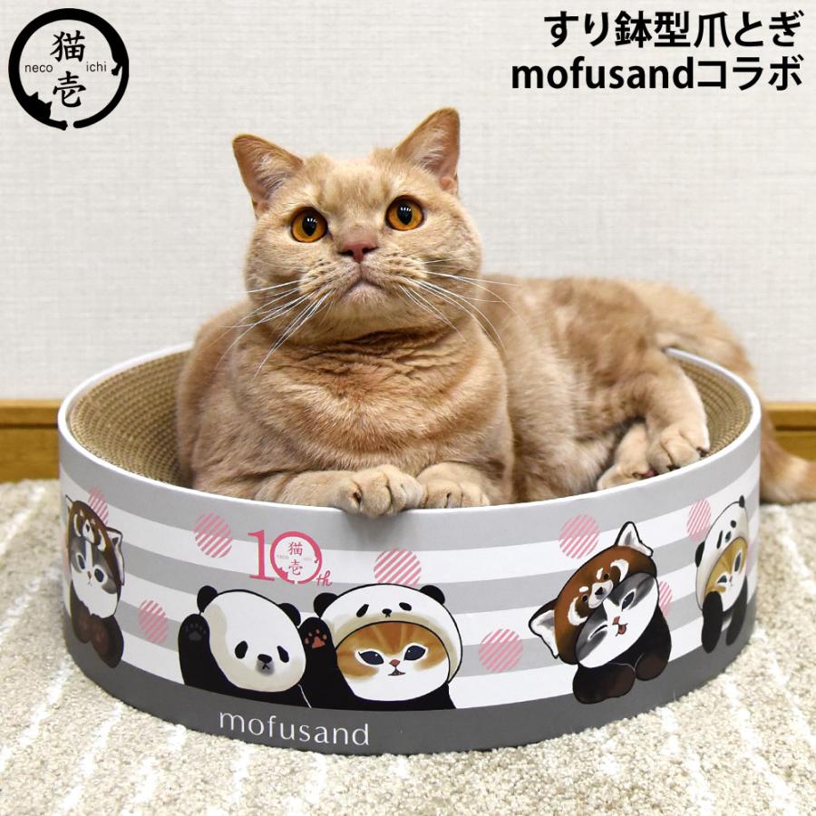 猫清さん専用 Amazon | PetSnowy×JSFコラボレーション「臭いを徹底分解」猫