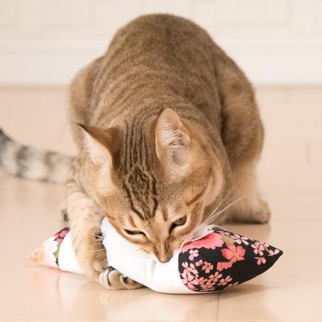 猫のおもちゃ 国産またたび100%使用 ゴロにゃんオリジナル なめける枕