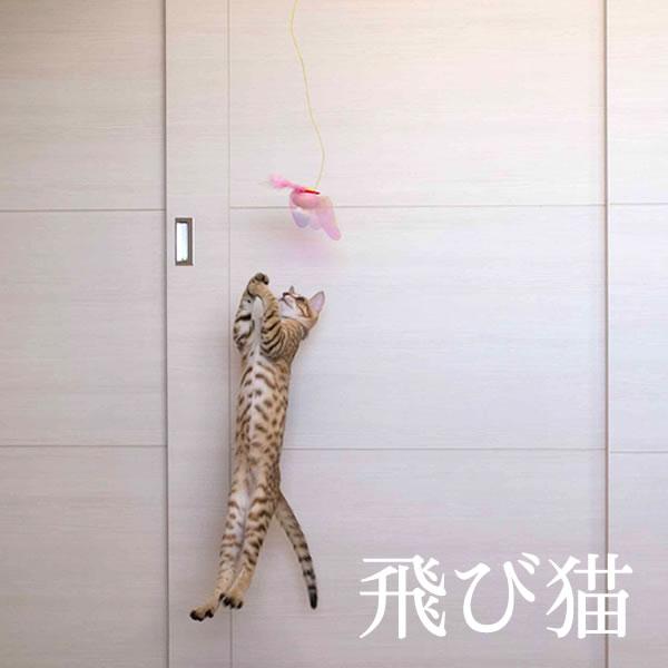 ねこにゃんページ Amazon | ペティオ(Petio) 猫用おもちゃ 釣り好きにゃんぺい