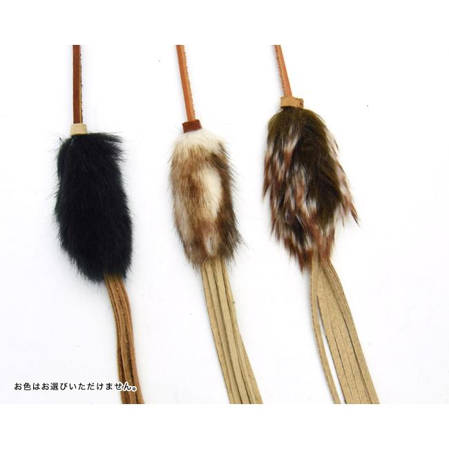 ねこちゃや Twitterで大人気！茶トラのやっちゃんとちーちゃん×なでるとゴロゴロ