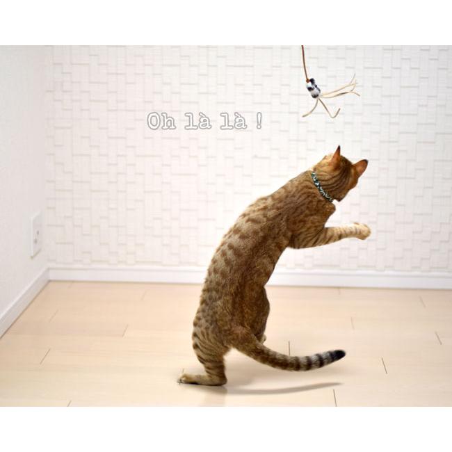 猫のおもちゃ VeePURRfect レザーバウンサー(01560) : 56nyan 猫用品