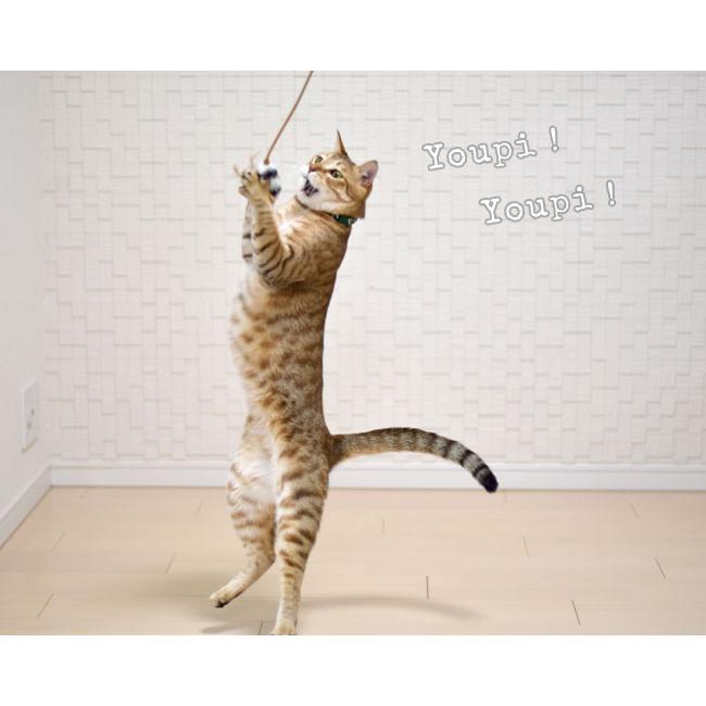 PURRfect レザーバウンサー (01560) Vee Enterprises製 ロングセラー