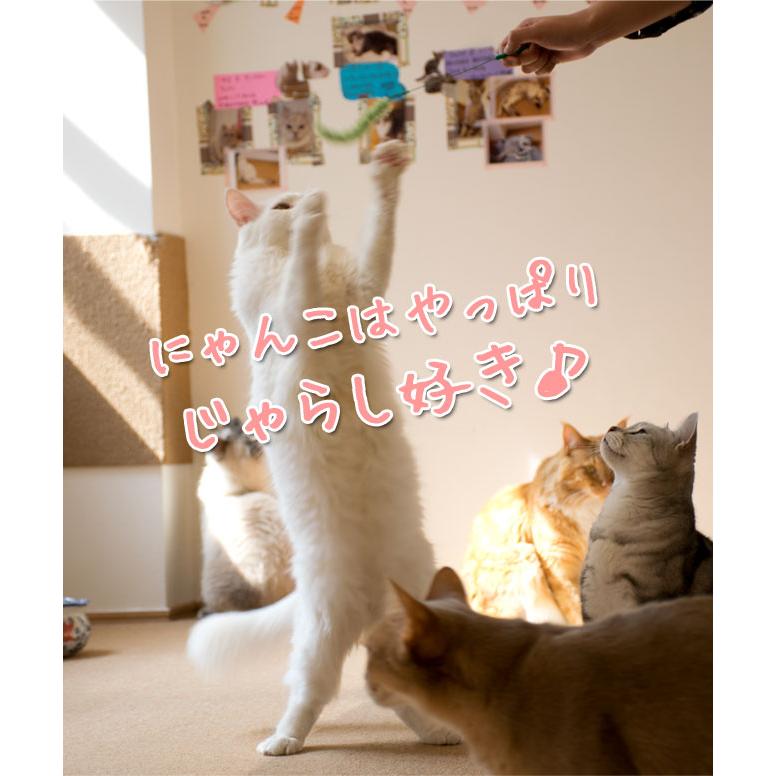 ドギーマン 猫のおもちゃ じゃれ猫 猫のお遊び草 エノコロ草2本セット
