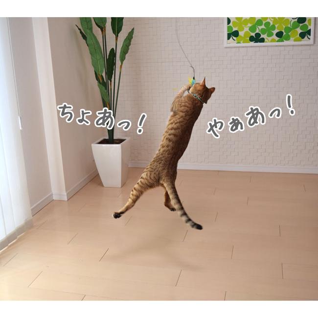 ドギーマン 猫のおもちゃ じゃれ猫 猫のお好みじゃらし 竿セット(44498