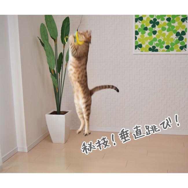 ドギーマン 猫のおもちゃ じゃれ猫 猫のお好みじゃらし 竿セット(44498