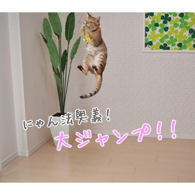 ドギーマン 猫のおもちゃ じゃれ猫 猫のお好みじゃらし 竿セット(44498