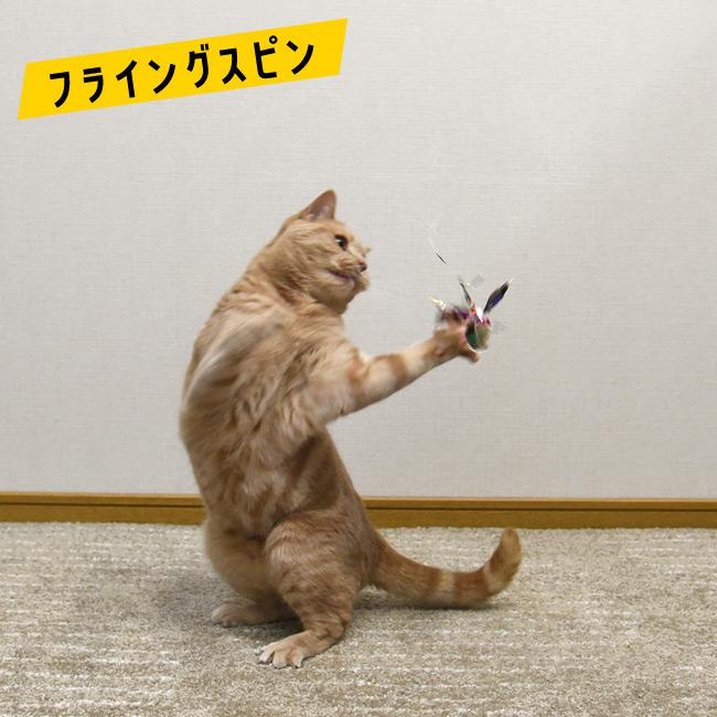 R-668】じゃれ猫・ぐで猫4匹セット