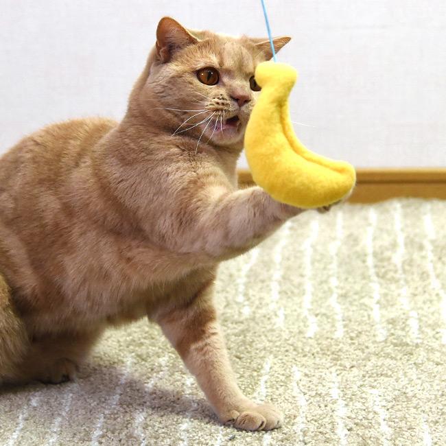 とびつくにゃんじゃらし バナナ (37095) ゴロにゃんオリジナル 猫用