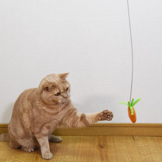 とびつくにゃんじゃらし にんじん (37545) ゴロにゃんオリジナル