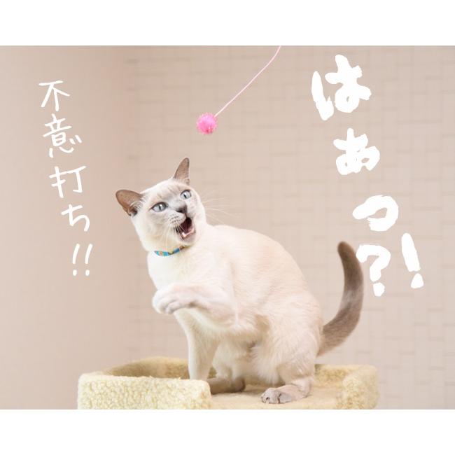 ミニじゃらし とにかく楽しいラメ棒バラエティー3本セット ゴロにゃん