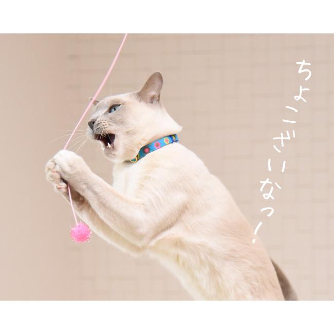 ミニじゃらし とにかく楽しいラメ棒バラエティー3本セット ゴロにゃん