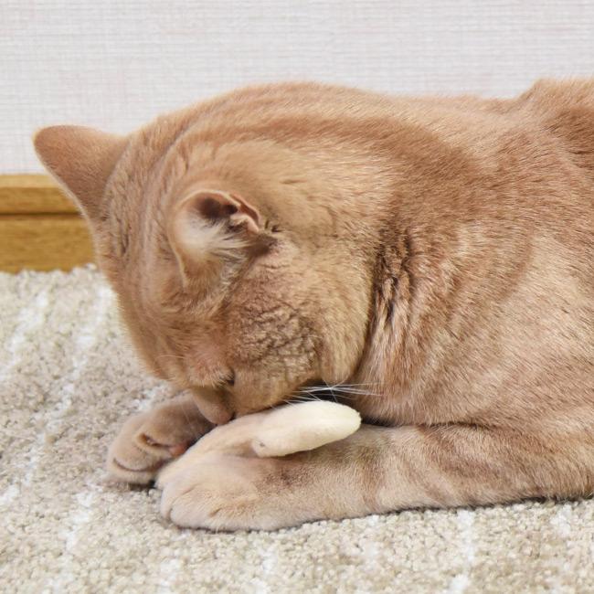 ゴロにゃんオリジナル 猫用おもちゃFLY. DO. ポテト (フライドポテト