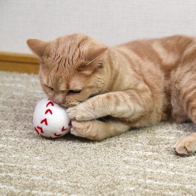 猫用おもちゃ 野球ボール (34346) またたび ペットトイ キャットトイ