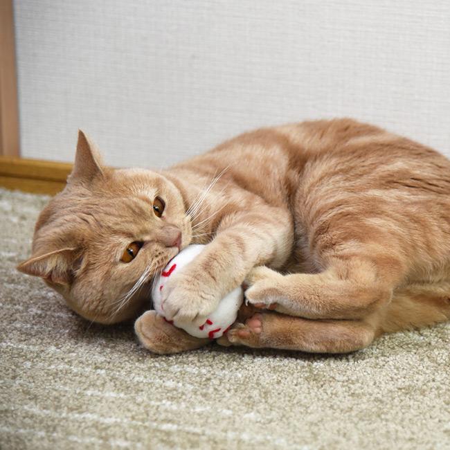 猫用おもちゃ 野球ボール (34346) またたび ペットトイ キャットトイ
