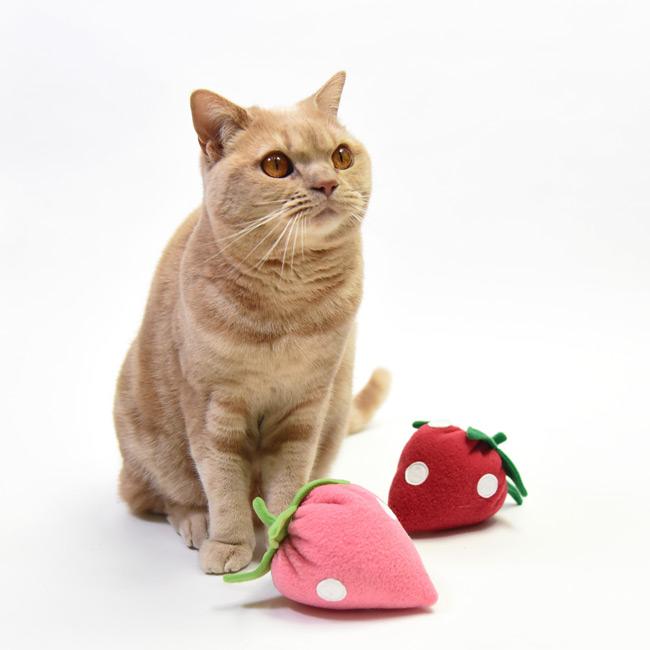 猫用おもちゃ いちご またたび ペットトイ キャットトイ ぬいぐるみ