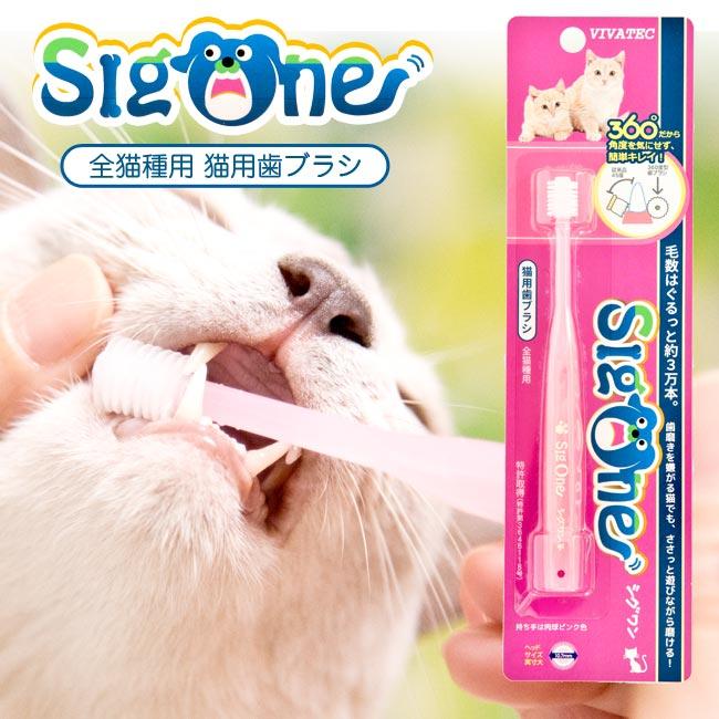 猫用歯ブラシ シグワン 360°(00636) : 56nyan 猫用品ゴロにゃんヤフー