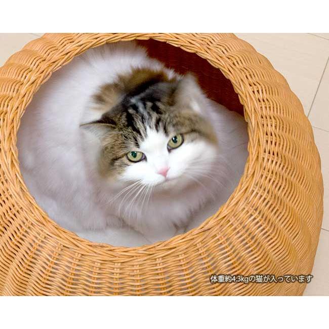 猫壺 ねこつぼ ラタンキャットポット : 56nyan 猫用品ゴロにゃんヤフー