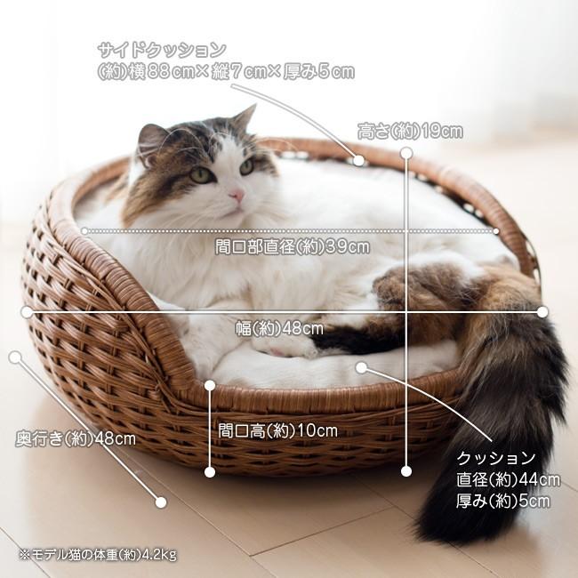 新版 シンシア ラタンボウルベッド Sc 78 猫用 ペット用ベッド 特箱 柔らかい Atempletonphoto Com