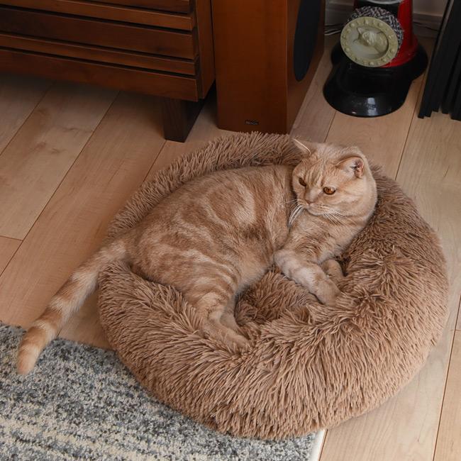 イエティふかふか ラウンドベッド Mサイズ RB-145M 犬猫用 ペット用