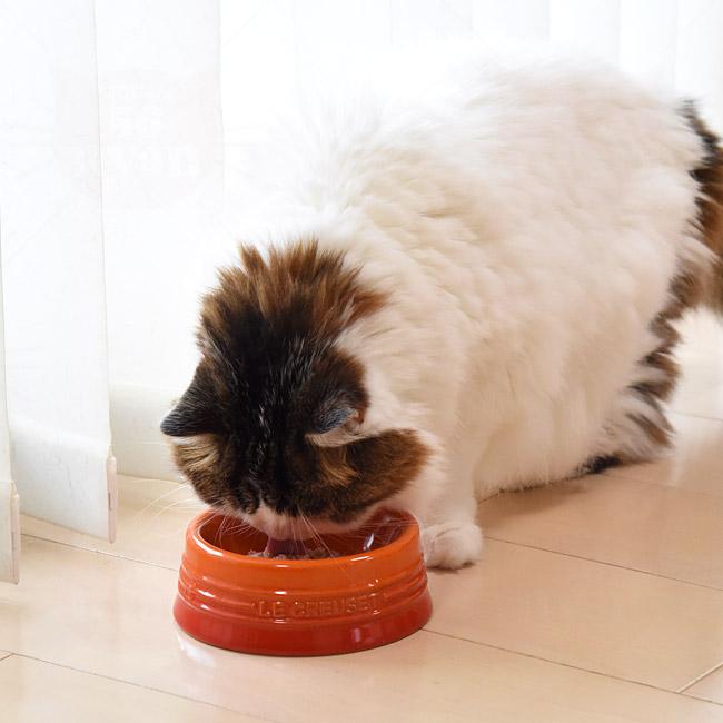 ル・クルーゼ ペット・ボール (S) 猫用 : 56nyan 猫用品ゴロにゃん