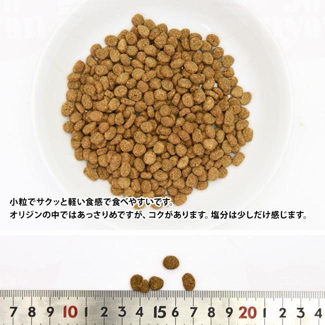 オリジン ガーディアン8 キャット 1.8kg (18916)の画像