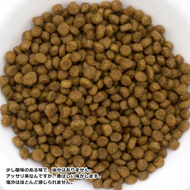 NOW FRESH ナウフレッシュ グレインフリー キトン 1.36kg (07405) Now