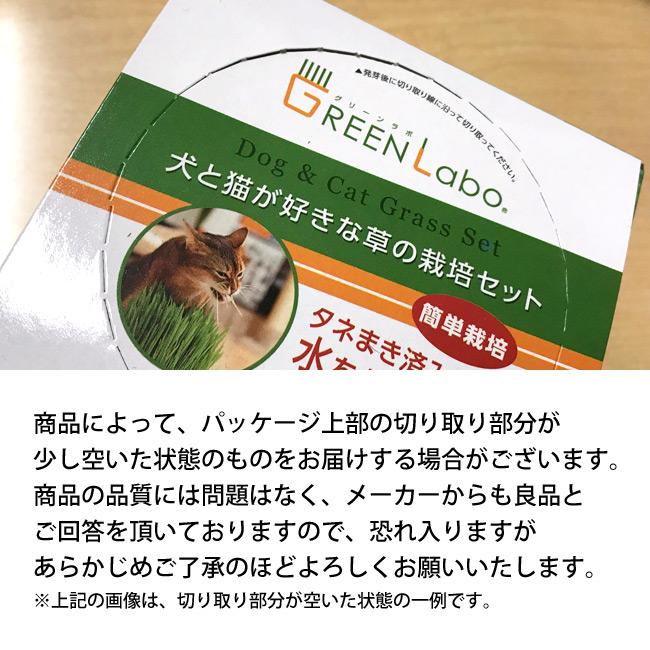 猫草 エイムクリエイツ 犬と猫が好きな草 栽培セット ペットグラス