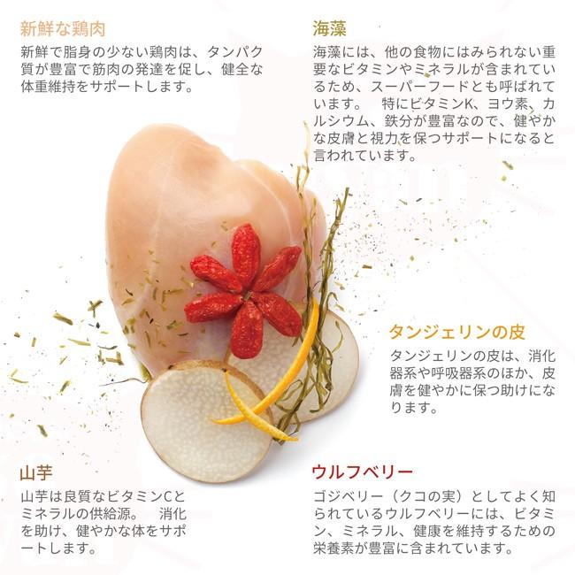 Vigor Sage ビゴー セージ 仔猫用 ウルフベリー ウェルビーイング 400g 70189 C1001 01 56nyan 猫用品ゴロにゃんヤフー店 通販 Yahoo ショッピング