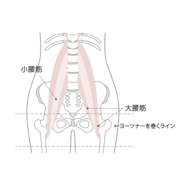 太ももに巻くだけで腸腰筋ストレッチ。大腰筋の緊張緩和ベルト「ヨーツナー」オールシーズンタイプ 送料無料 大腰筋 腰 サポーター | ユタカメイク | 02