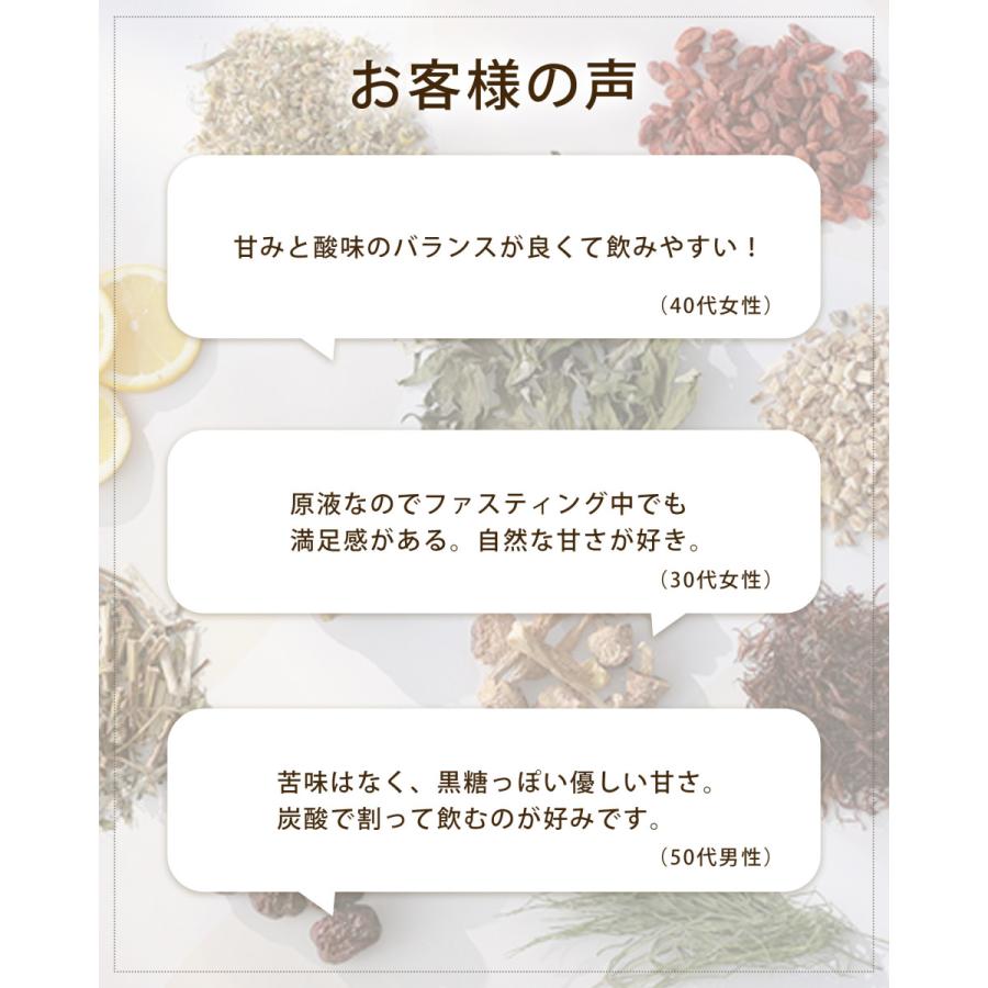 酵素ドリンク 無添加 栄養ドリンク 美容ドリンク 2本セット ファスティング 腸活 植物発酵エキス エイジングケア 凛の葉 720ml_12