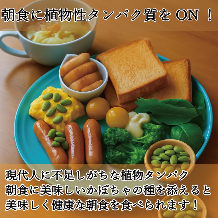 北海道十勝産 （農薬不使用） ペポカボチャの種 （焙煎） 40g かぼちゃ