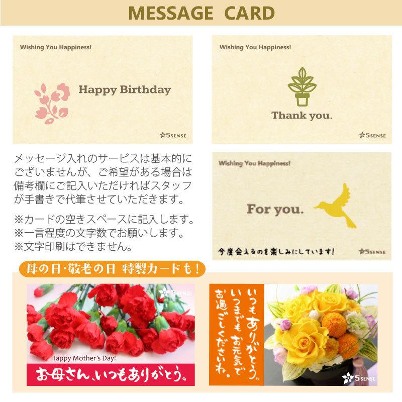 ＼クーポンご利用で200円OFF／母の日 誕生日 プレゼント ストール【今治ストール＆小豆島オリーブソックス＆今治ミニタオル３点ギフト】日本製 送料無料｜5sense1｜14