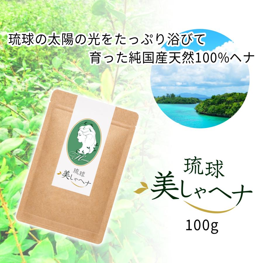 ヘナ 白髪染め ヘナカラー ヘアカラー オーガニック 純 国産 美しゃ
