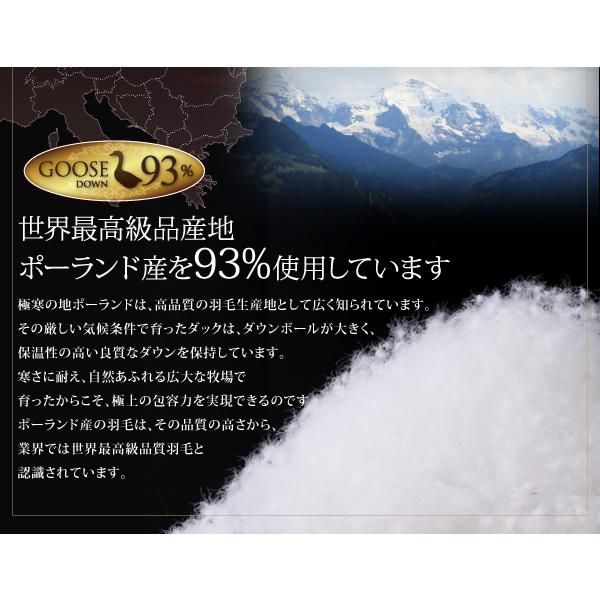 [即日発送] 羽毛布団セット ダブル 和式用 布団セット 日本製 ポーランド産 グースダウン93% プレミアムゴールドラベル Lathyrus 和タイプ 10点セット 【QGW1628509883】(56762円)