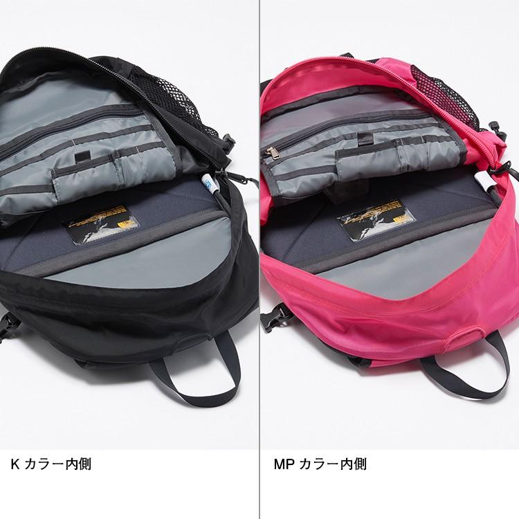 THE NORTH FACE（ザ ノースフェイス） ザ ノース フェイス ビッグ