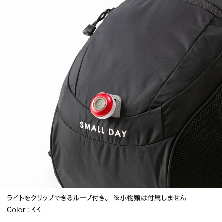 THE NORTH FACE SMALL DAY ブラックリュック 美品 THE NORTH FACE（ザ ノースフェイス） ポイント10% ザ ノース フェイス
