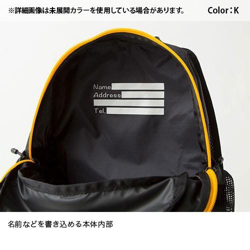 THE NORTH FACE ポイント10% ザ ノース フェイス フライウェイト