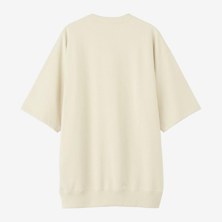 20％OFF ザ ノース フェイス ハーフスリーブスウェットティー グラベル Tシャツ スウェット 紫外線カット THE NORTH FACE H/S Sweat Tee GL NT12446-GLの画像