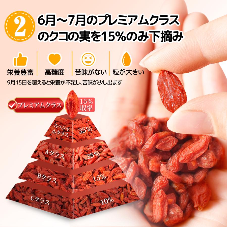MOTTセレクト クコの実 クコ ゴジベリー 無添加 無農薬 有機JAS認定
