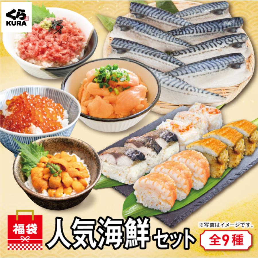 くら寿司 ◇数量限定 2026新春福袋 A:人気海鮮セット 9種「さばフィレ