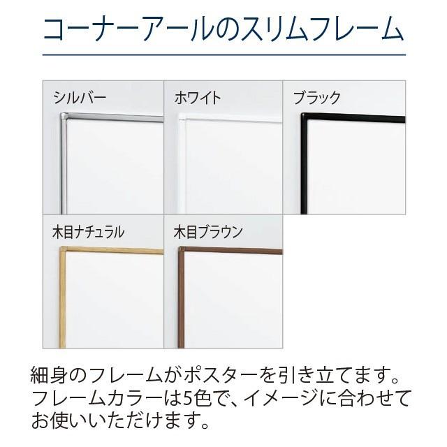 スリムフレーム開閉式パネル／A2サイズ パネル 額縁 ポスターパネル