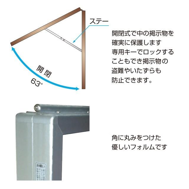 壁面用アルミ掲示板ブロンズ（特大）  黒板仕様  マグネット使用可｜6111185｜03