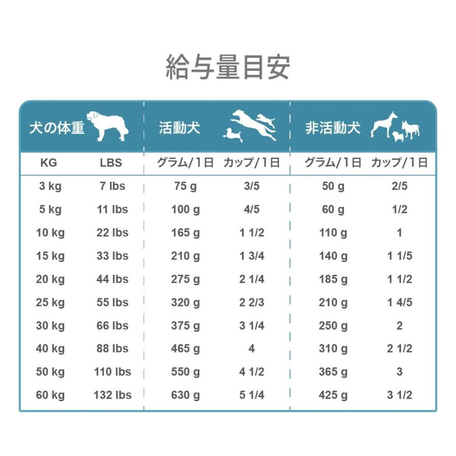 リアルネイチャー ホリスティックドッグフード N0.3オーシャンサーモン【アレルギーに配慮】12kg （2kg×6）｜6340-11｜14