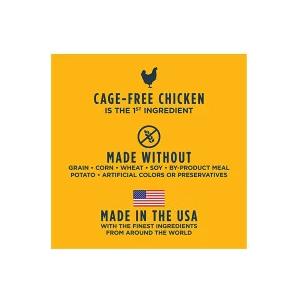 インスティンクト instinct Raw Boost リアルチキン ラージブリード パピー 9kg （犬用） 総合栄養食（ドッグフード ドライフード プレミアムフード） ドッグフード KUE1181349264(10340円)