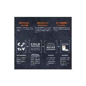 インスティンクト instinct Raw Boost リアルチキン ラージブリード パピー 9kg （犬用） 総合栄養食（ドッグフード ドライフード プレミアムフード） ドッグフード KUE1181349264(10340円)