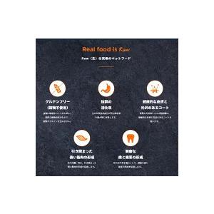 インスティンクト instinct Raw Boost リアルチキン ラージブリード パピー 9kg （犬用） 総合栄養食（ドッグフード ドライフード プレミアムフード） ドッグフード KUE1181349264(10340円)