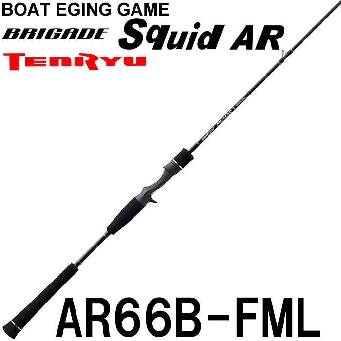 テンリュウロッド イカメタルロッド 鉛スッテロッド ブリゲイドスクイッドar Ar66b Fml 2ピース ベイトモデル Ar66b Fml 釣具のレインドロップス 通販 Yahoo ショッピング