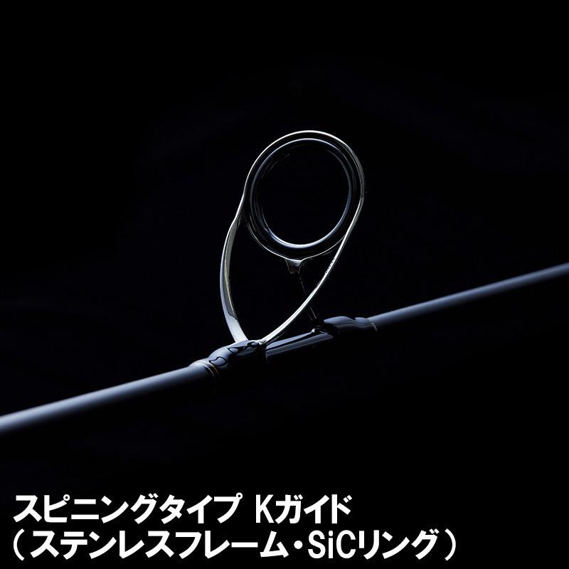 TENRYU テンリュウ ベイブレイズ BBZ642S-LML スピニングモデル 2