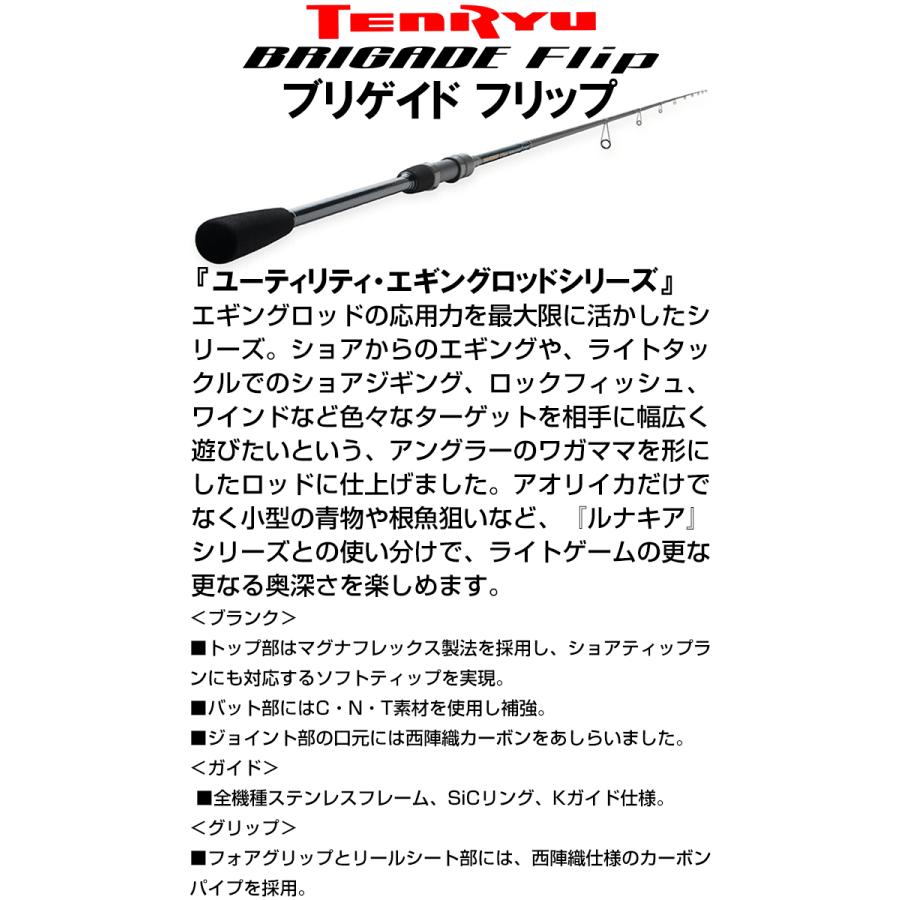 テンリュウ ブリゲイド フリップ BGF872S-MLM 2ピース スピニング