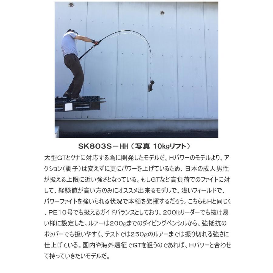 テンリュウ マグロロッド GTロッド トラベルロッド スパイク